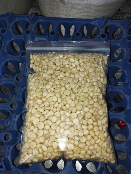 Bắp hầm 10kg/thùng