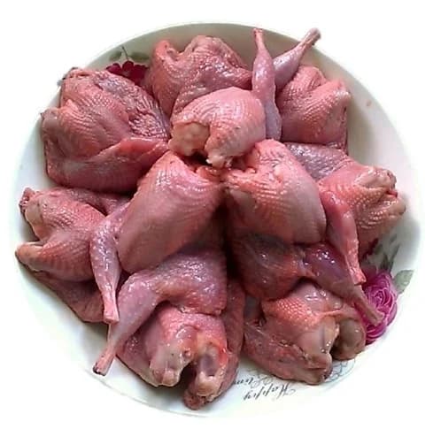 Cút làm sạch không ruột