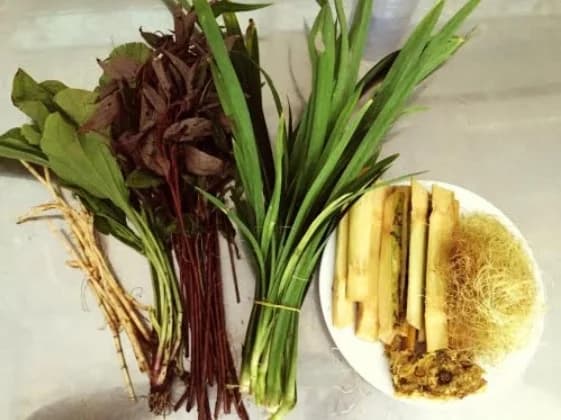 Bó nấu nước xâm