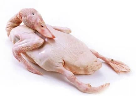 Vịt nguyên con làm sạch