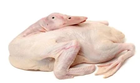 Vịt nguyên con làm sạch
