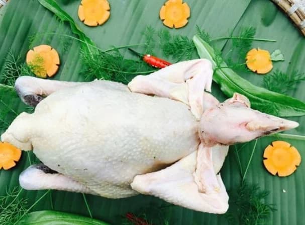 Gà trống cúng