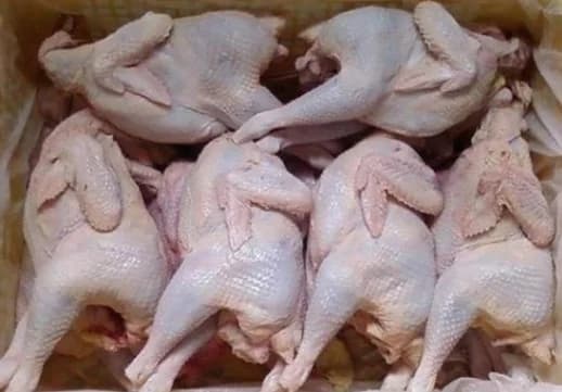 Gà tre làm sạch không đầu không chân
