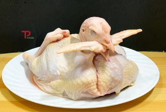 Gà ta cúng (con 2,5kg) cg