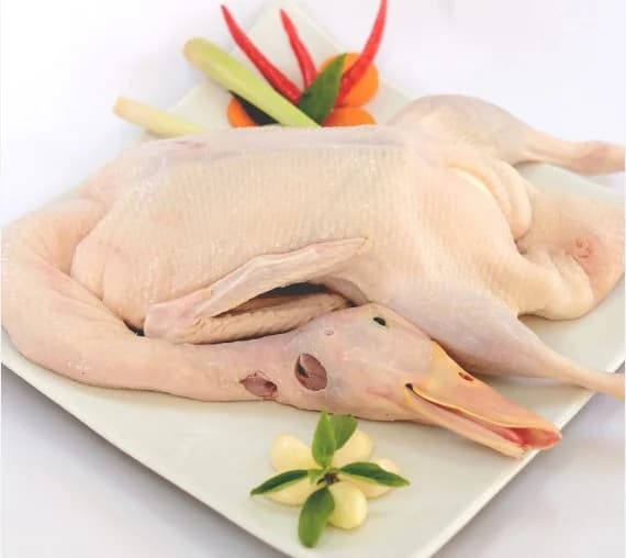 Vịt siêu nạc