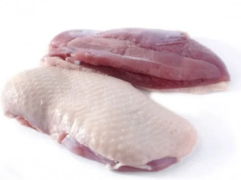 Ức vịt