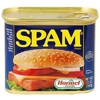 Thịt hộp Spam 340g