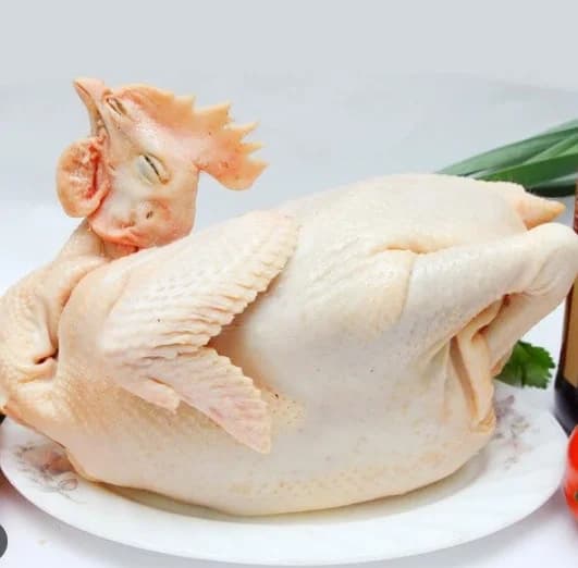 Gà ta trấu sẵn, gà trống