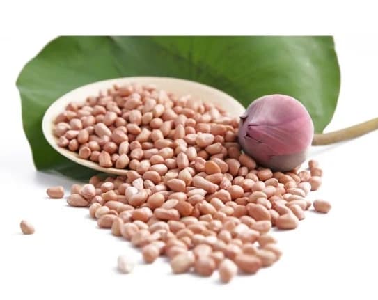 Đậu phộng sống