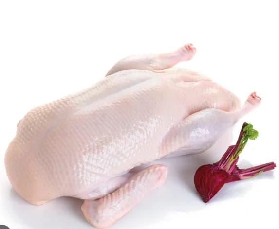 Vịt cỏ làm sạch không đầu không chân