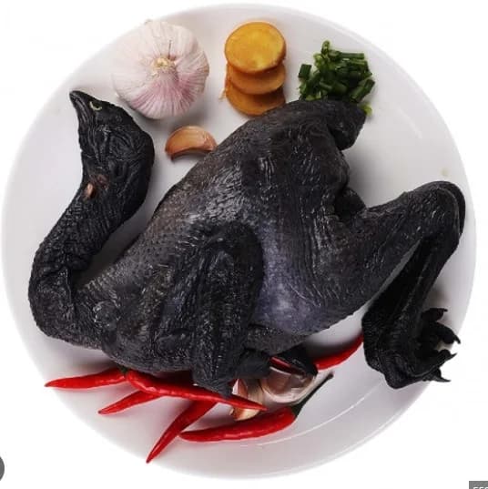 Gà ác con lớn