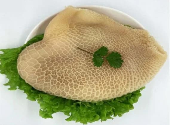 Dạ dày bò
