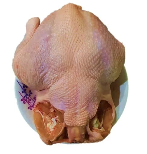 Gà không cánh, bỏ cổ