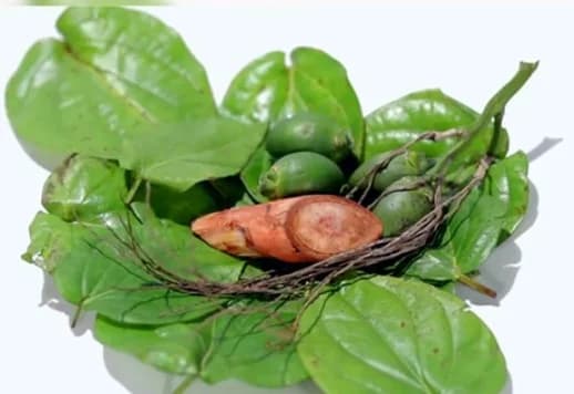 Trầu cau cúng