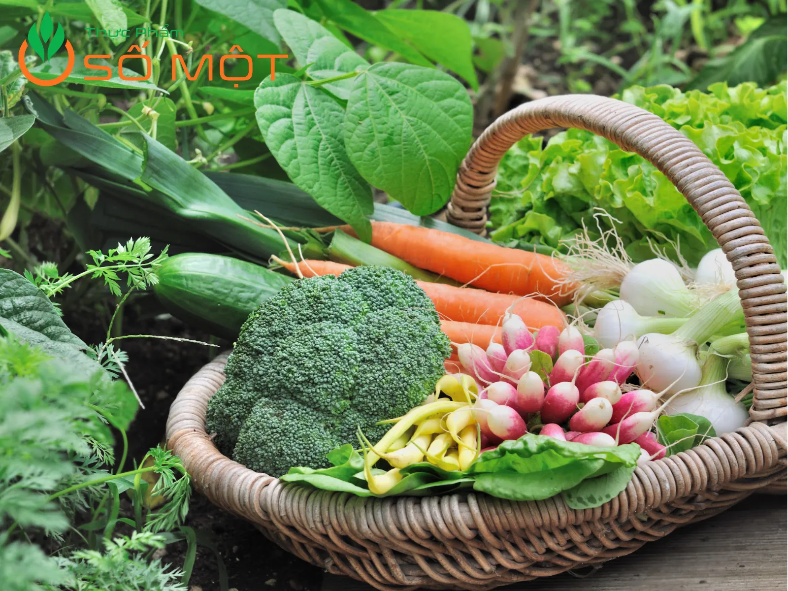 Thực Phẩm Số Một luôn chủ động kiểm soát "kép": đầu vào - đầu ra