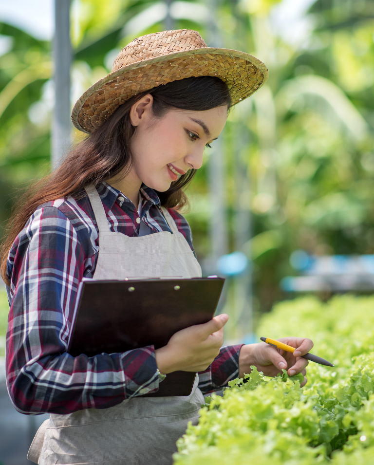 kiểm soát chất lượng đầu vào