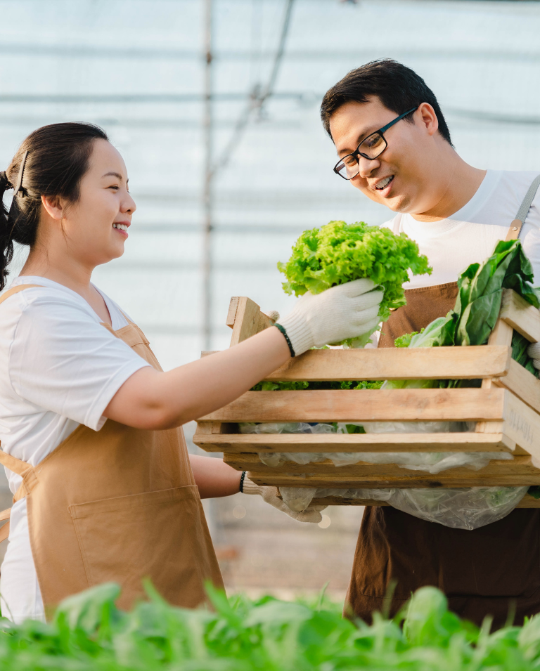 mạng lưới cung ứng rộng khắp