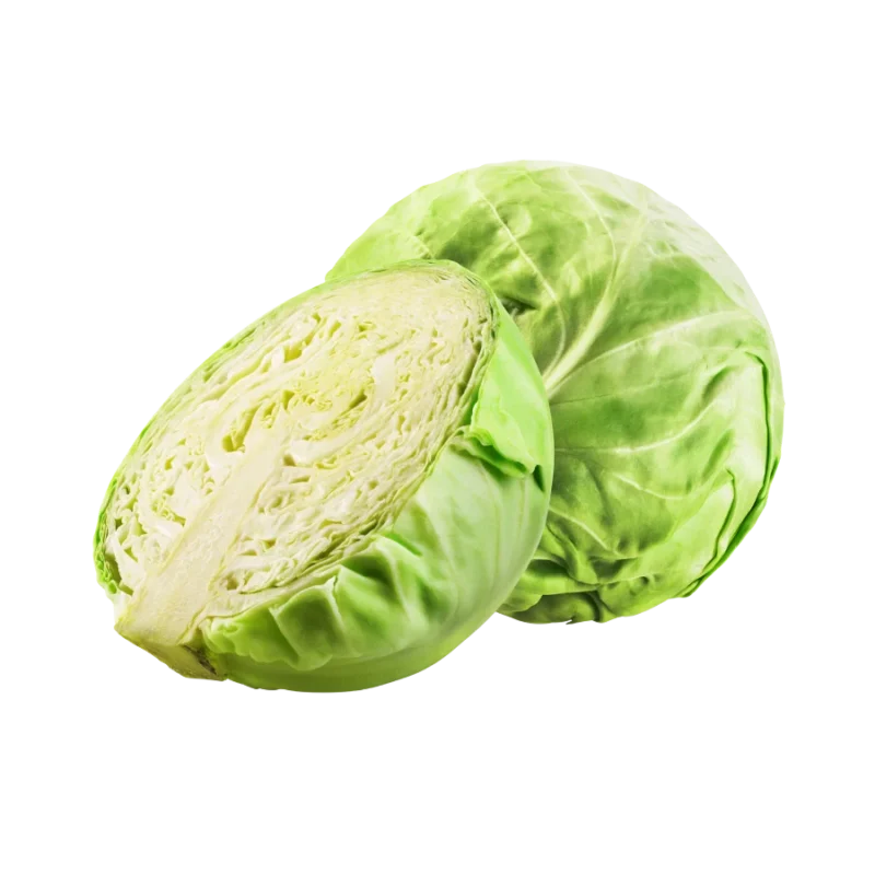 Bắp cải trắng giá sỉ tại Thực Phẩm Số Một