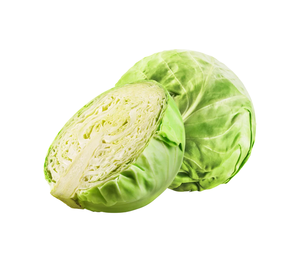 Bắp cải trắng giá sỉ tại Thực Phẩm Số Một
