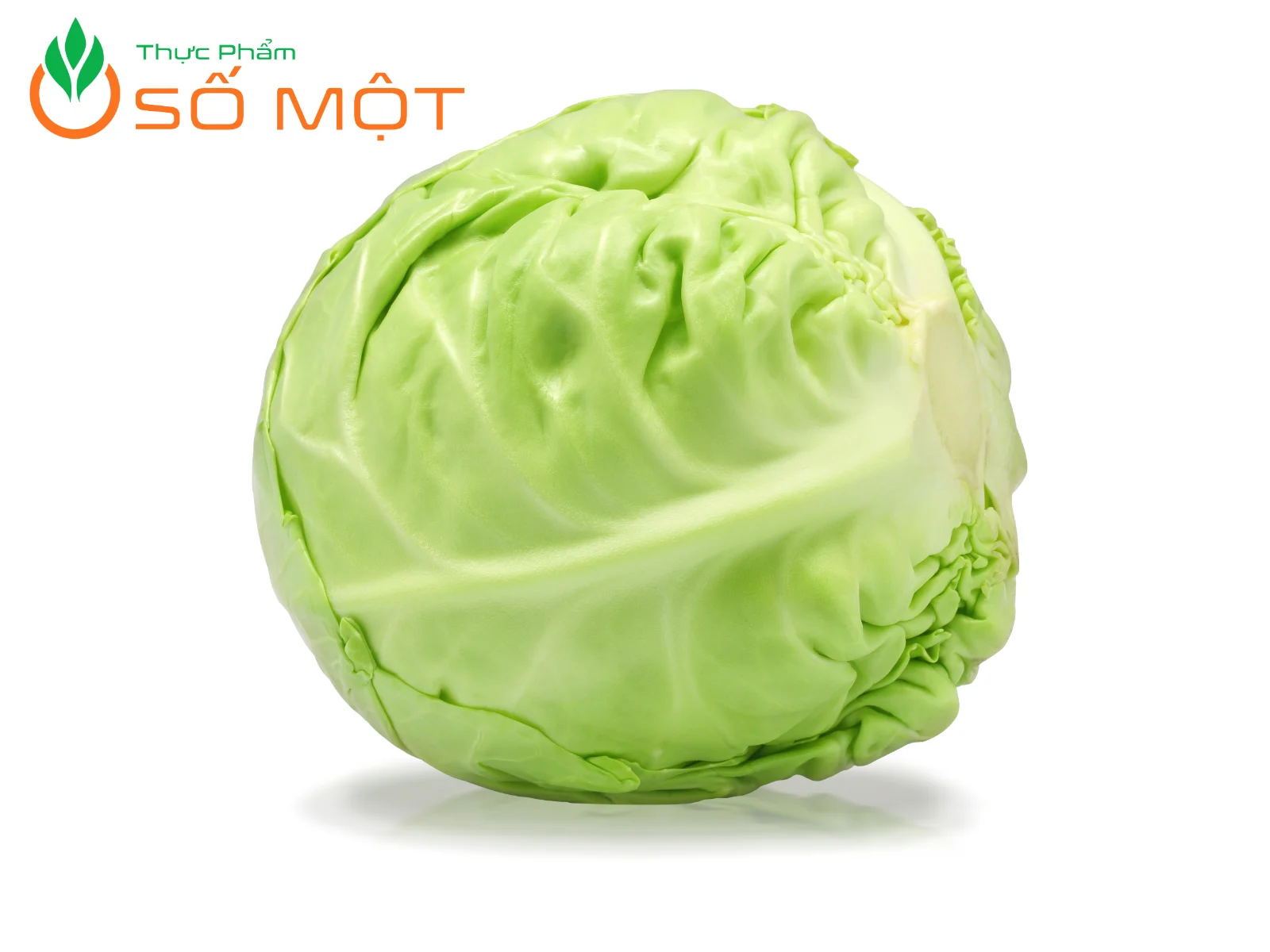 Nên lựa chọn những bắp cải có hình dáng tròn đều