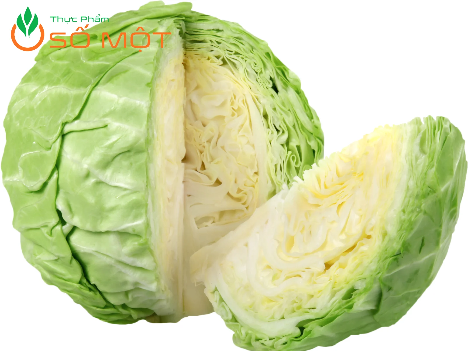 Bắp cải có hàm lượng dinh dưỡng cao