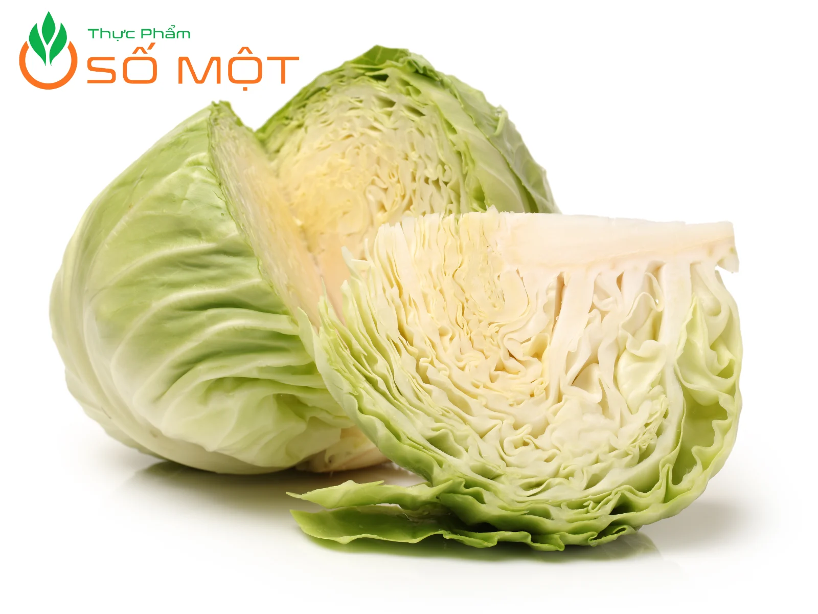 Bắp cải trắng có nhiều tác dụng đối với sức khỏe, sắc đẹp