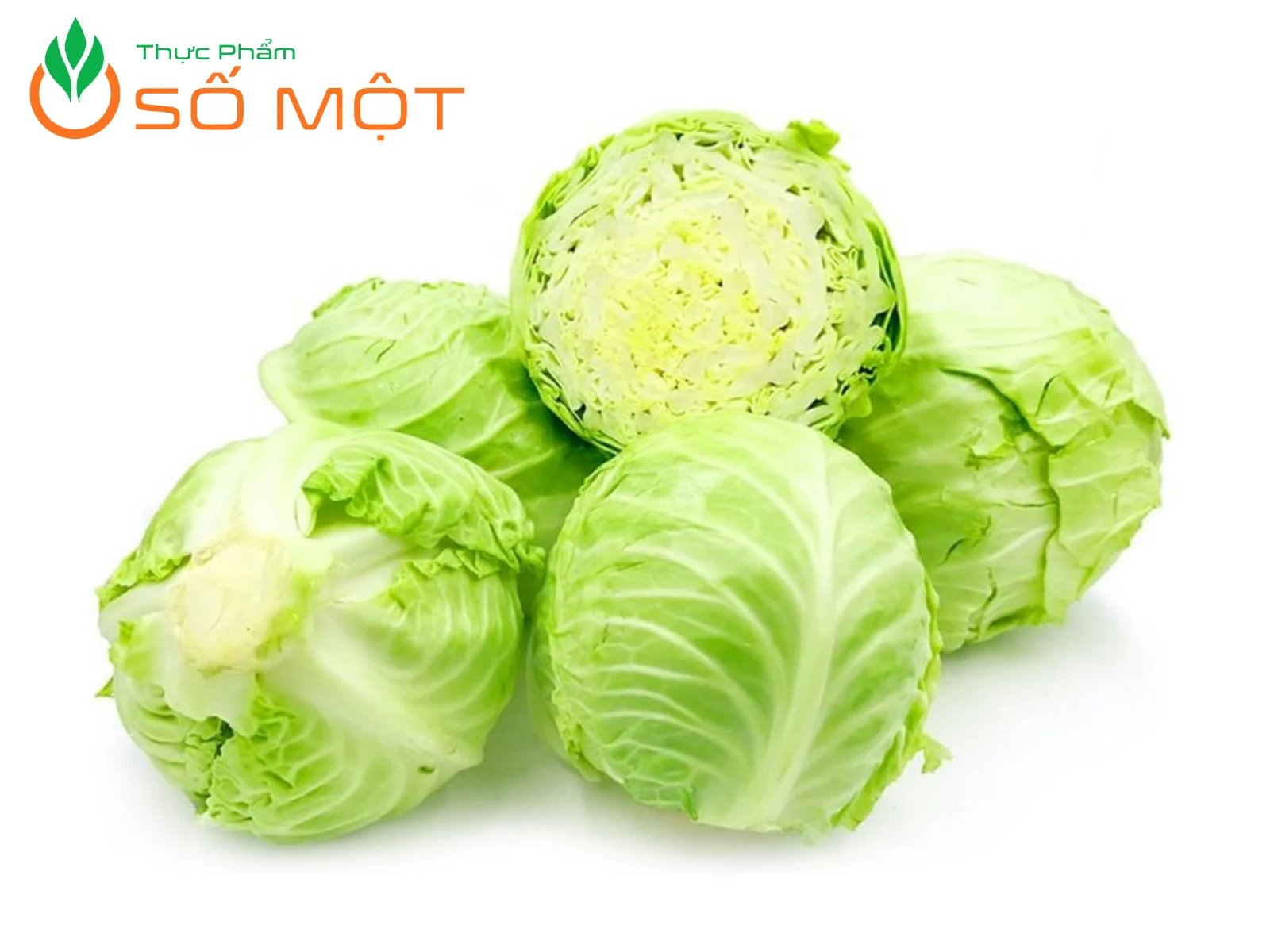 Thực Phẩm Số Một là nhà cung cấp bắp cải tươi ngon, chất lượng, giá cạnh tranh