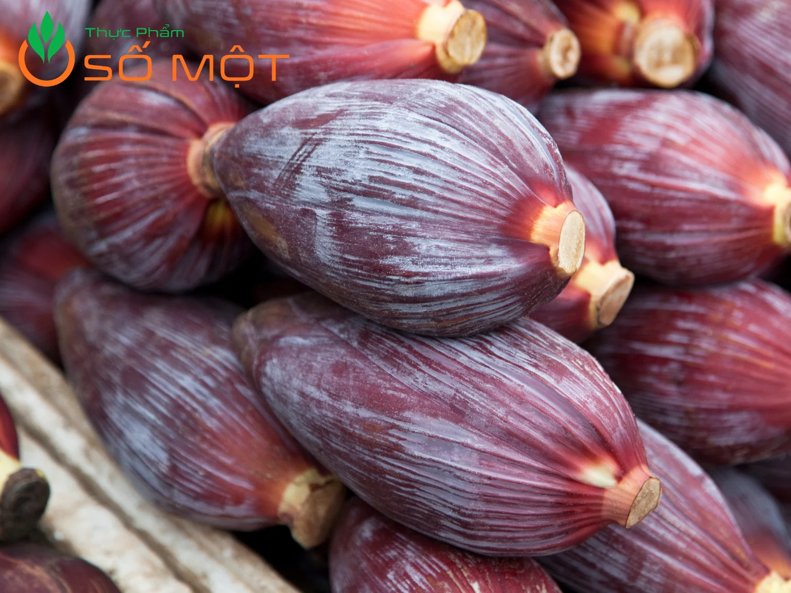 Thực Phẩm Số Một - Nhà cung cấp bắp chuối giá sỉ