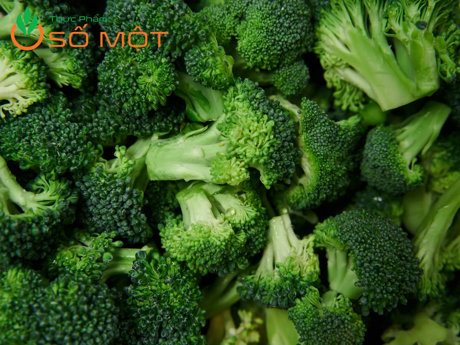 Thực Phẩm Số Một nhà cung cấp bông cải xanh uy tín, giá sỉ