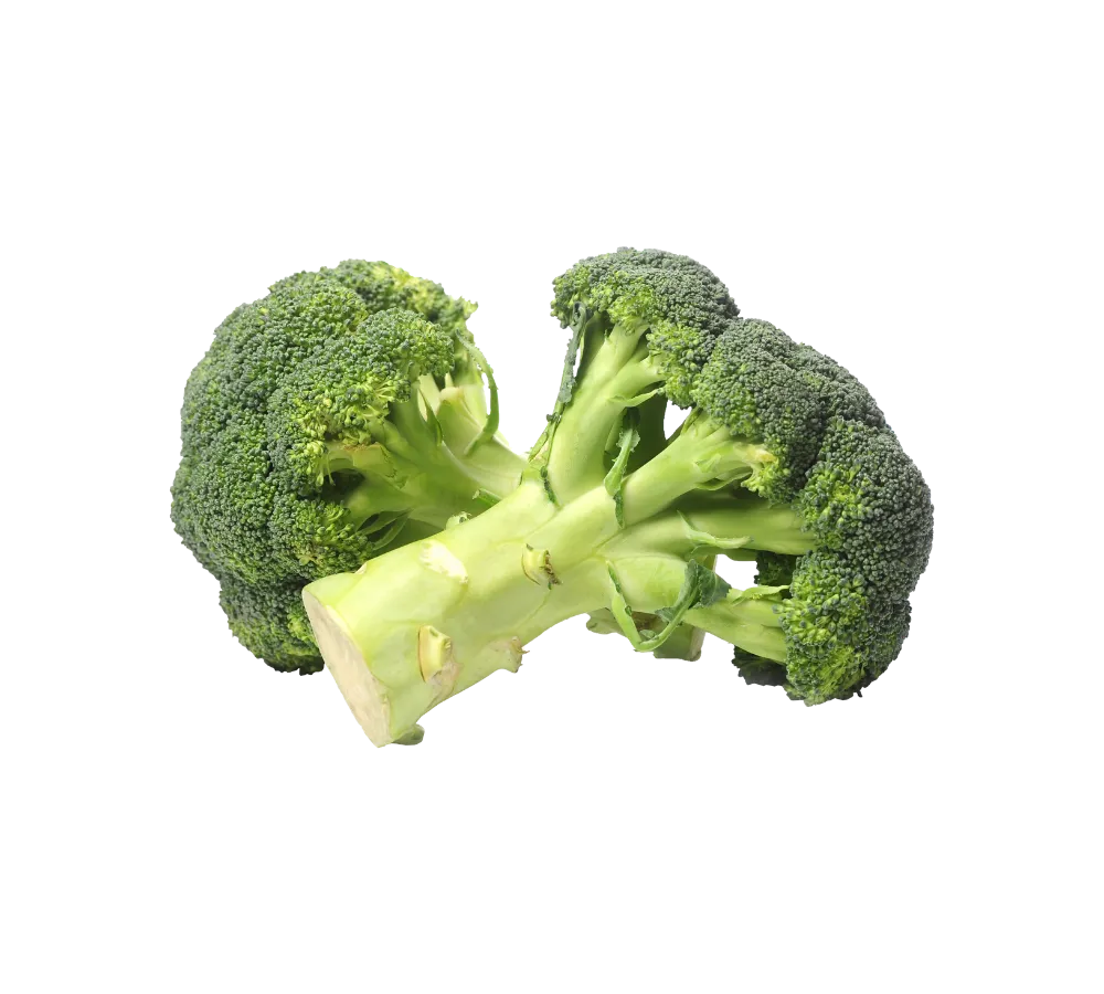 Bông cải xanh (Súp lơ xanh) tại Thực Phẩm Số Một