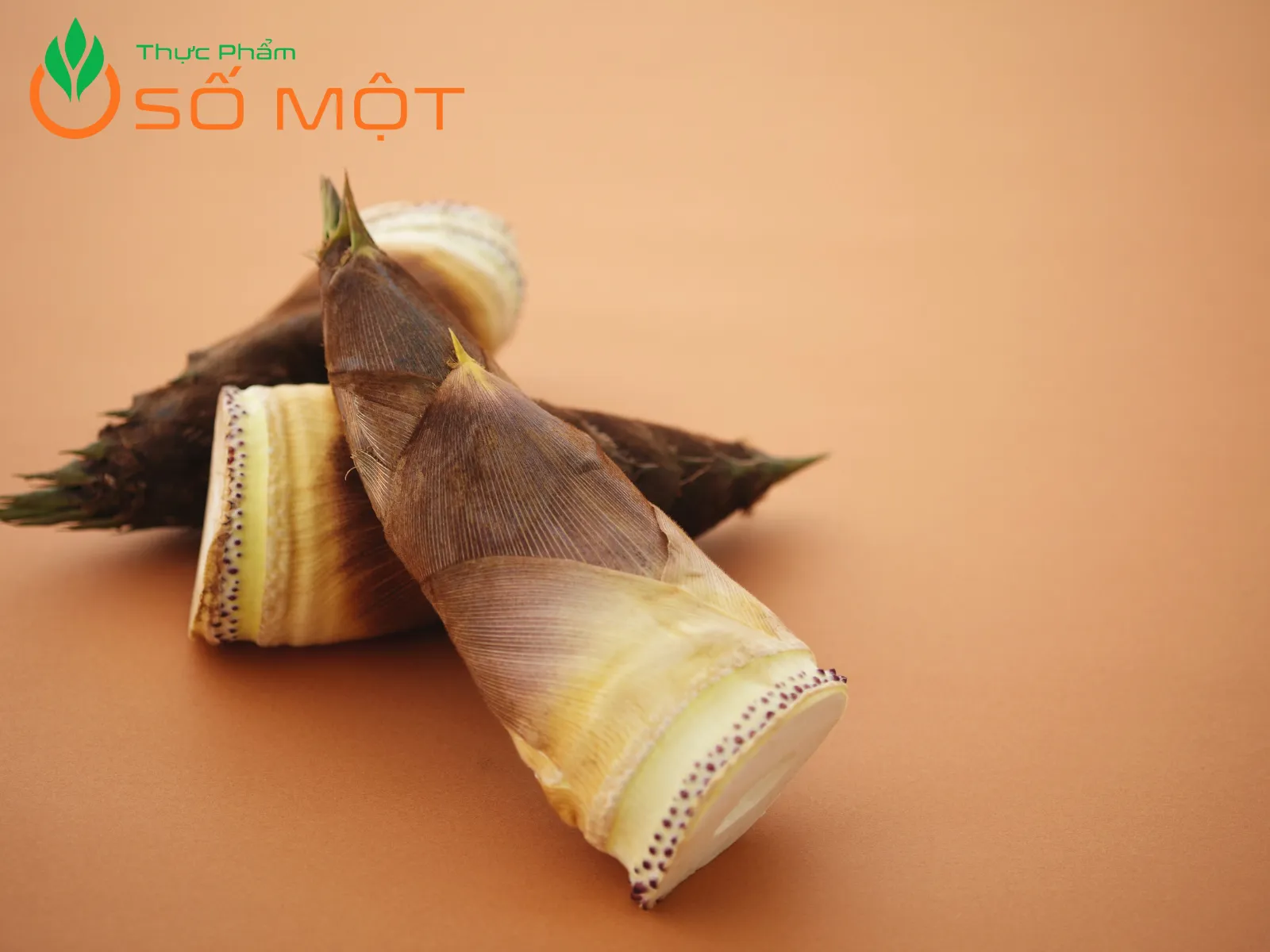 Búp măng tươi chưa hàm lượng dinh dưỡng cực cao