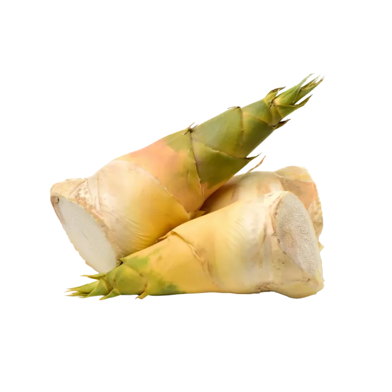 Búp măng tươi ngon giá sỉ cạnh tranh tại Thực Phẩm Số Một