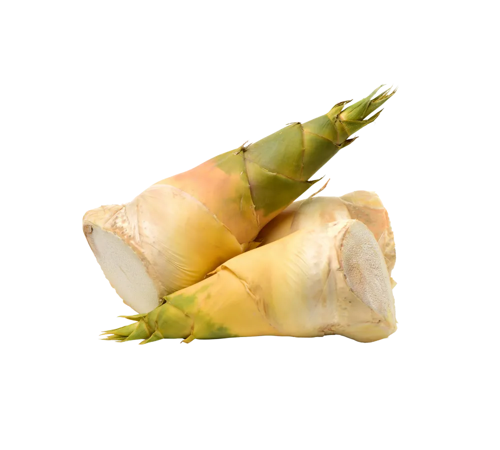 Búp măng tươi ngon giá sỉ cạnh tranh tại Thực Phẩm Số Một