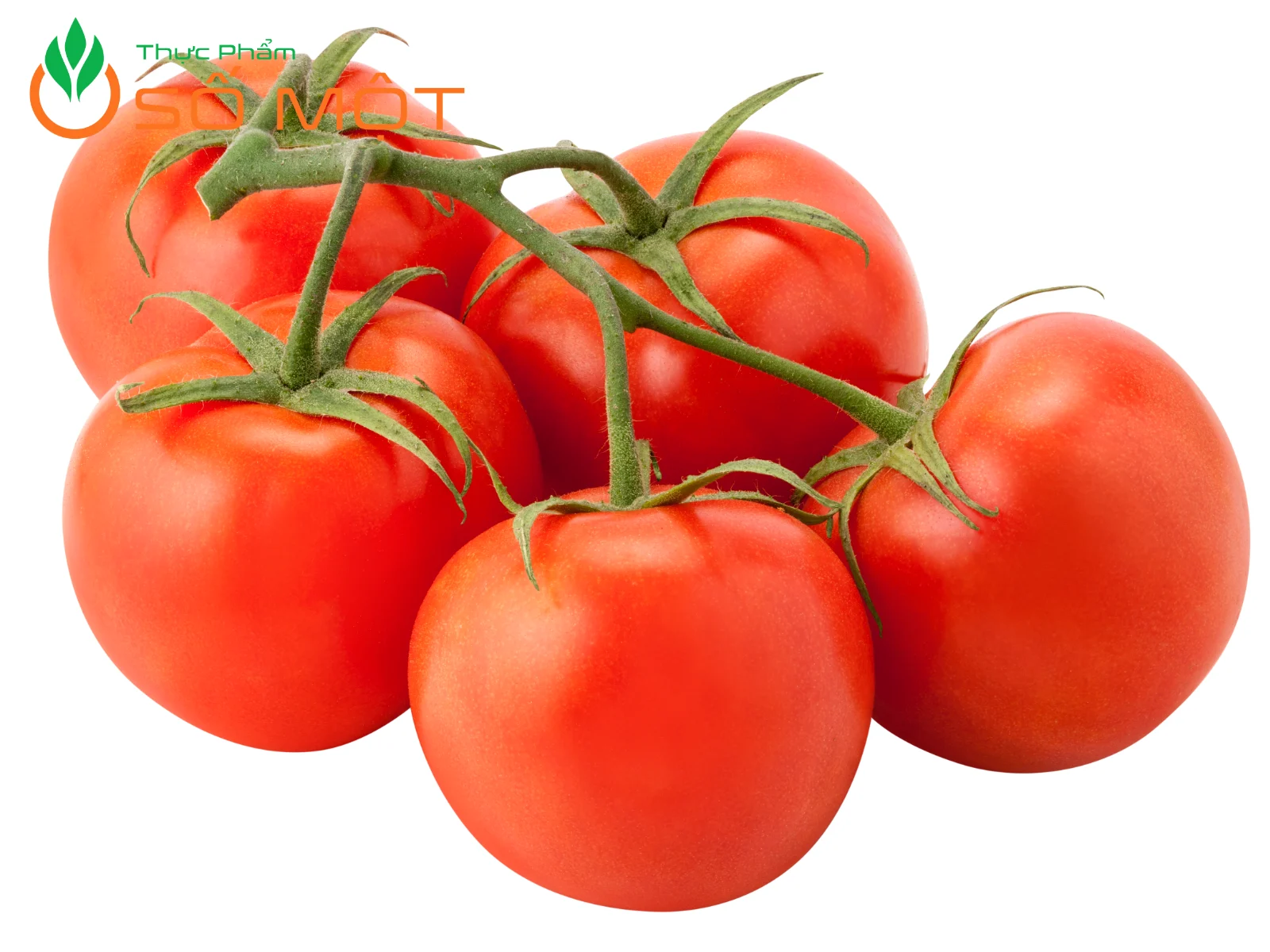 Thực Phẩm Số Một là đơn vị cung cấp cà chua tươi ngon, giá sỉ, vận chuyển tận nơi