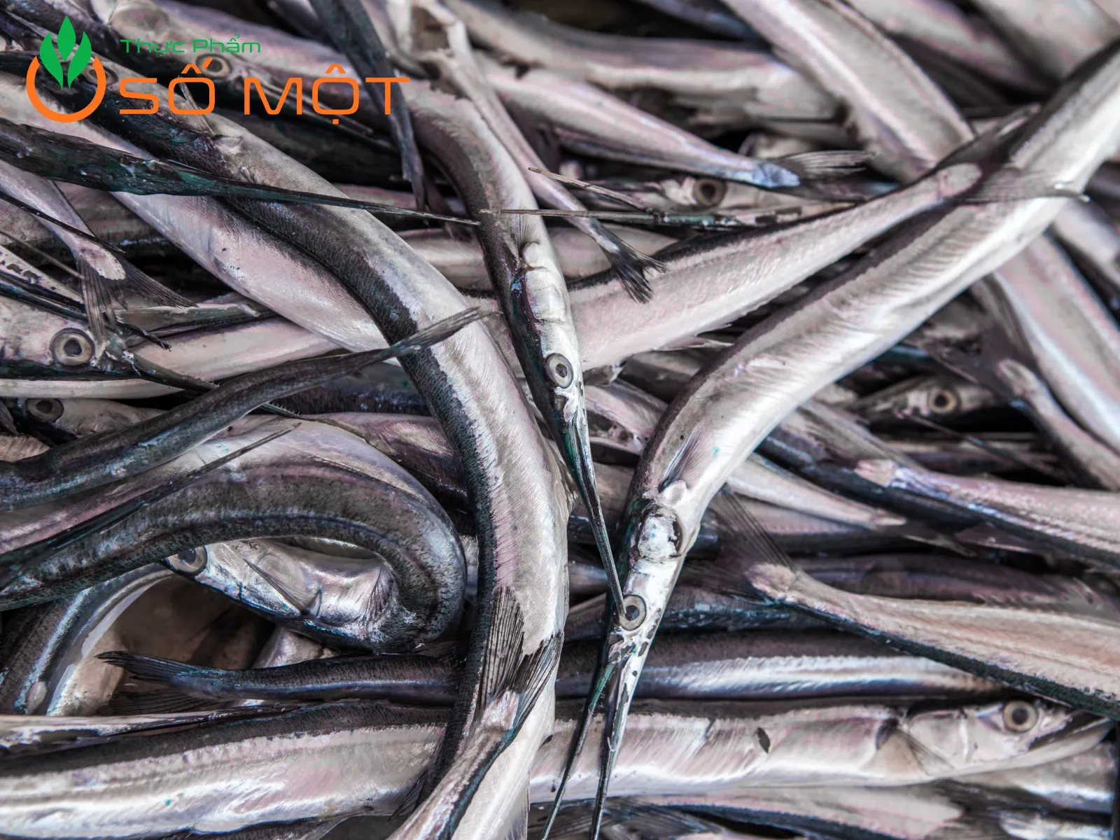 Cá hố có hàm lượng dinh dưỡng cao, tốt cho sức khỏe