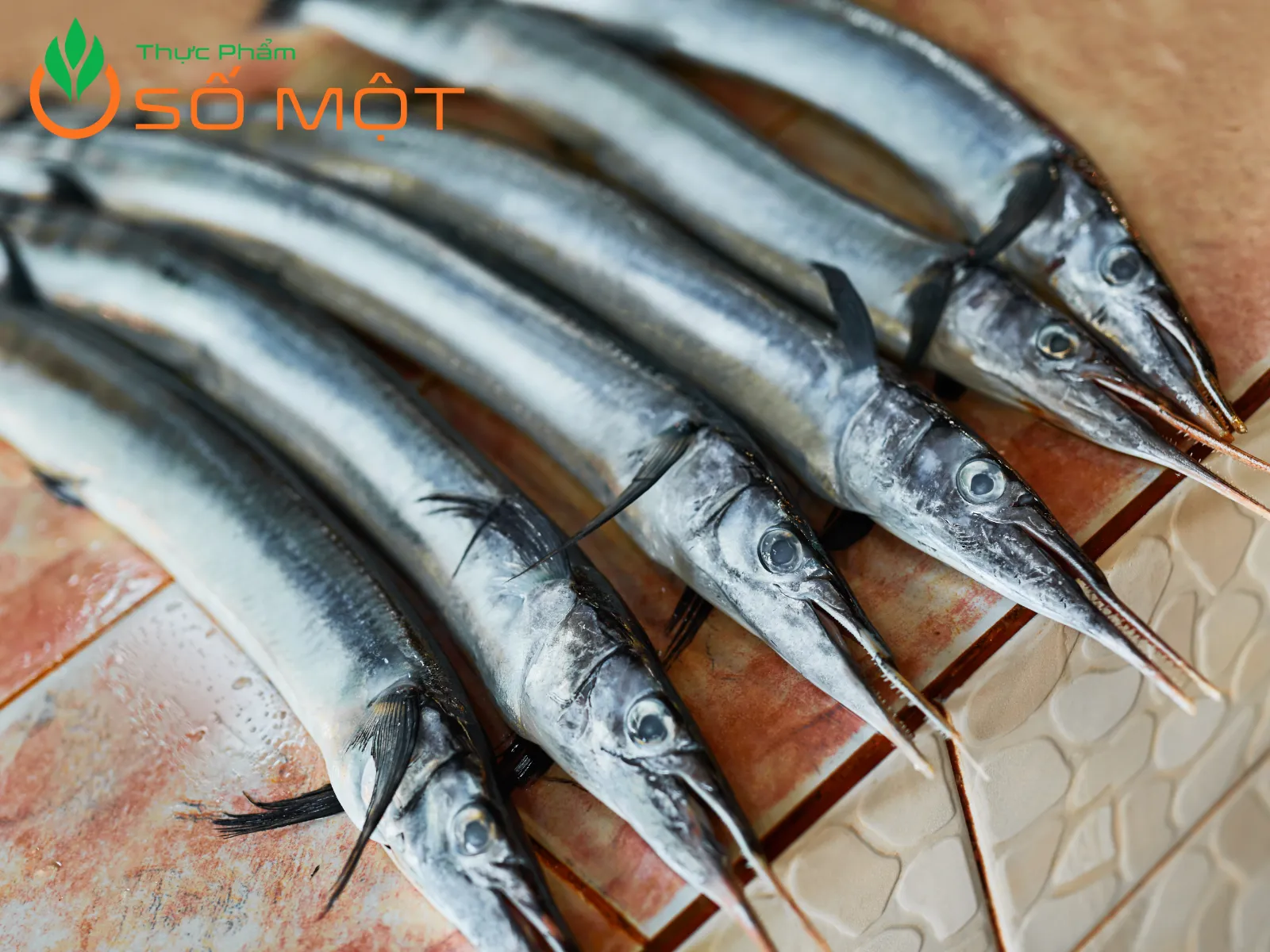 Cá hố tươi của Thực Phẩm Số Một luôn đảm bảo nguồn gốc rõ ràng