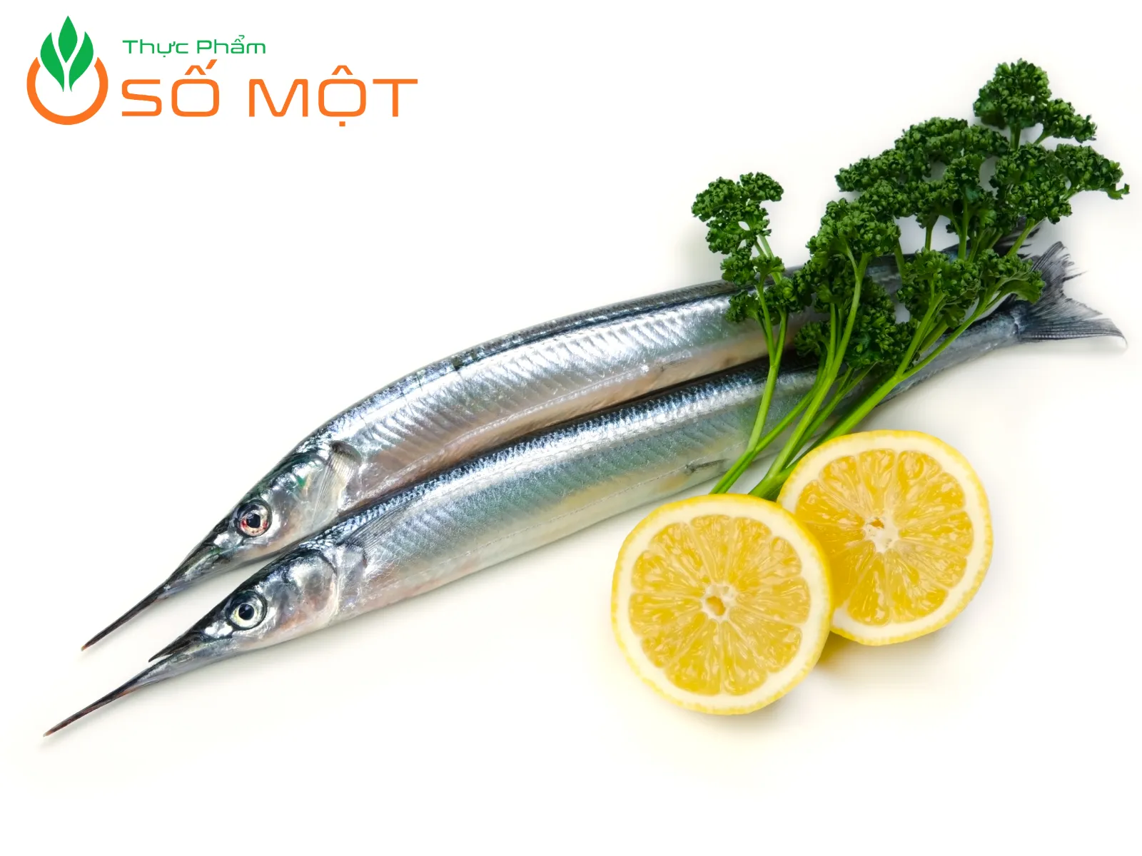 Giá cá hố tùy thuộc vào nhiều yếu tố khác nhau