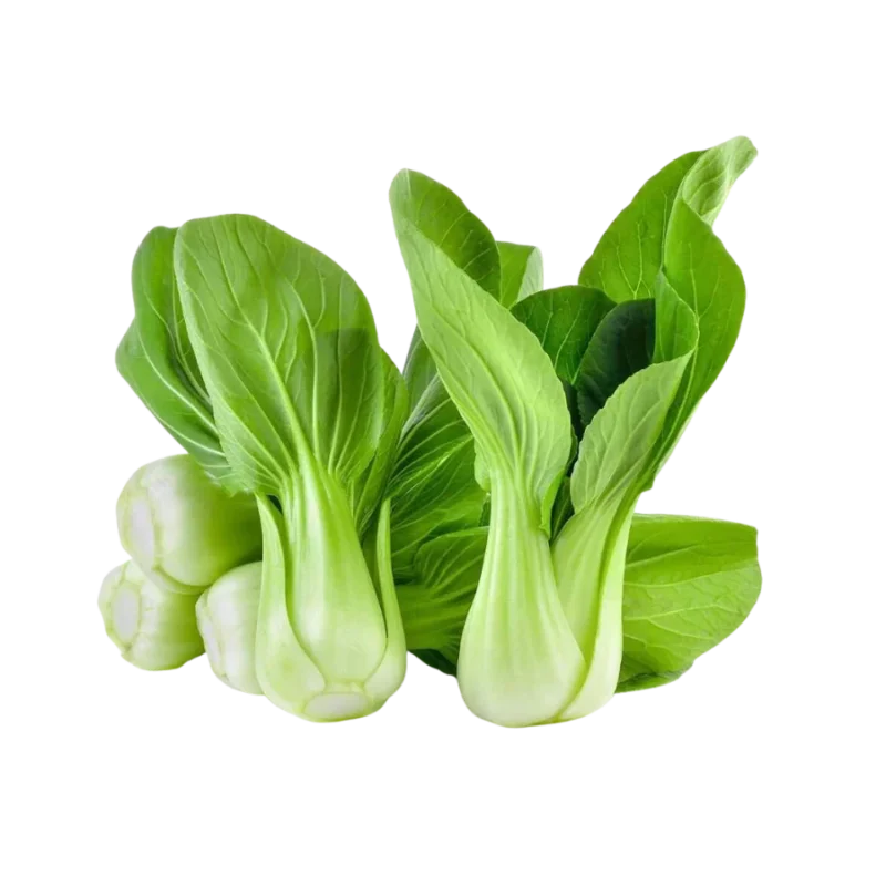 Cải thìa chất lượng, giá sỉ tại Thực Phẩm Số Một