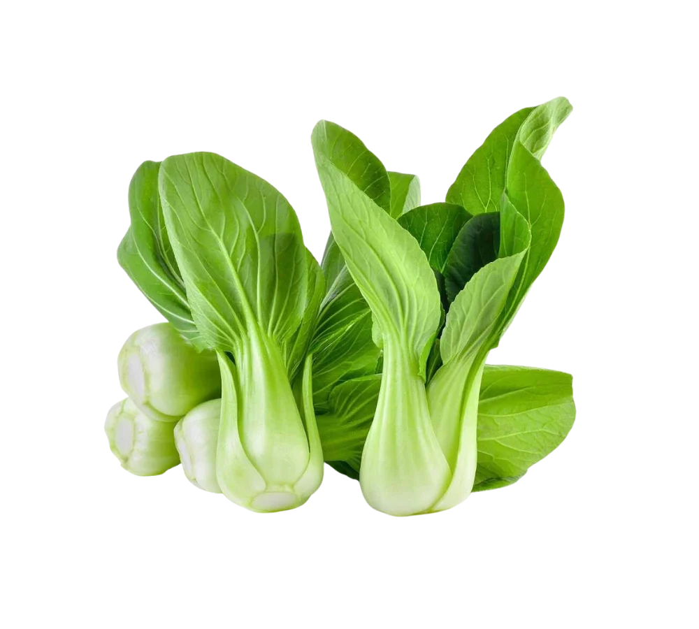 Cải thìa chất lượng, giá sỉ tại Thực Phẩm Số Một