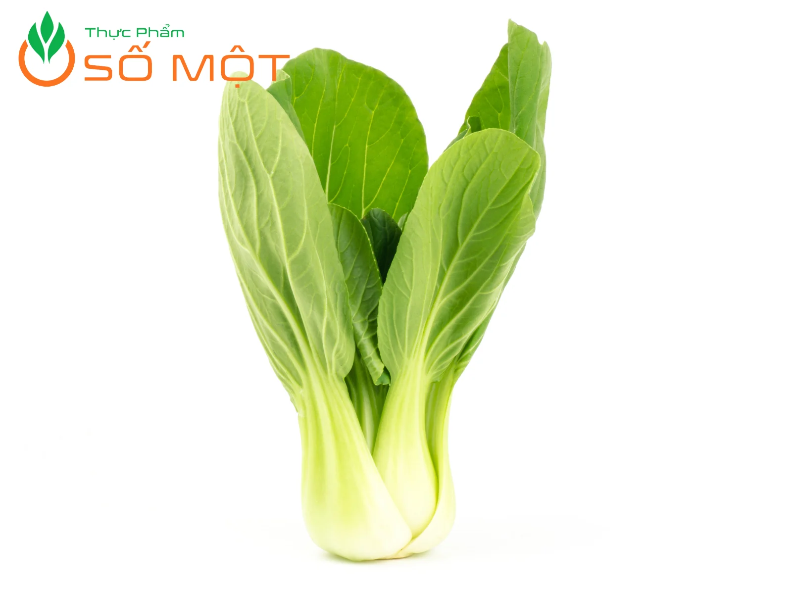 Nên chọn cải thìa có màu xanh tươi, mướt mát, không dập, không có mùi lạ