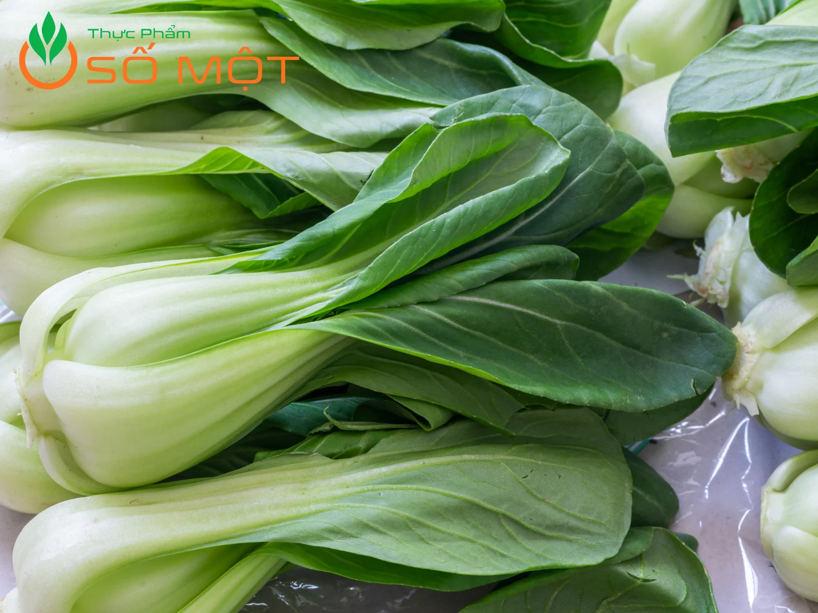 Cải thìa có giá dao động từ 35.000VNĐ/kg - 45.000VNĐ/kg tùy thời điểm