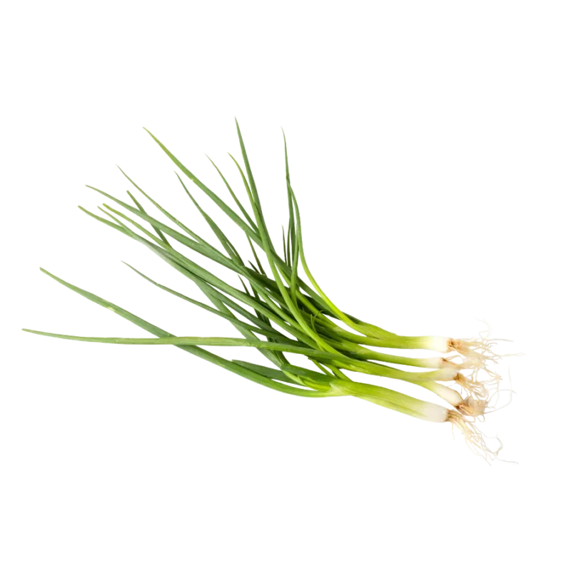 Hành lá tươi số lượng lớn giá sỉ tại Thực Phẩm Số Một