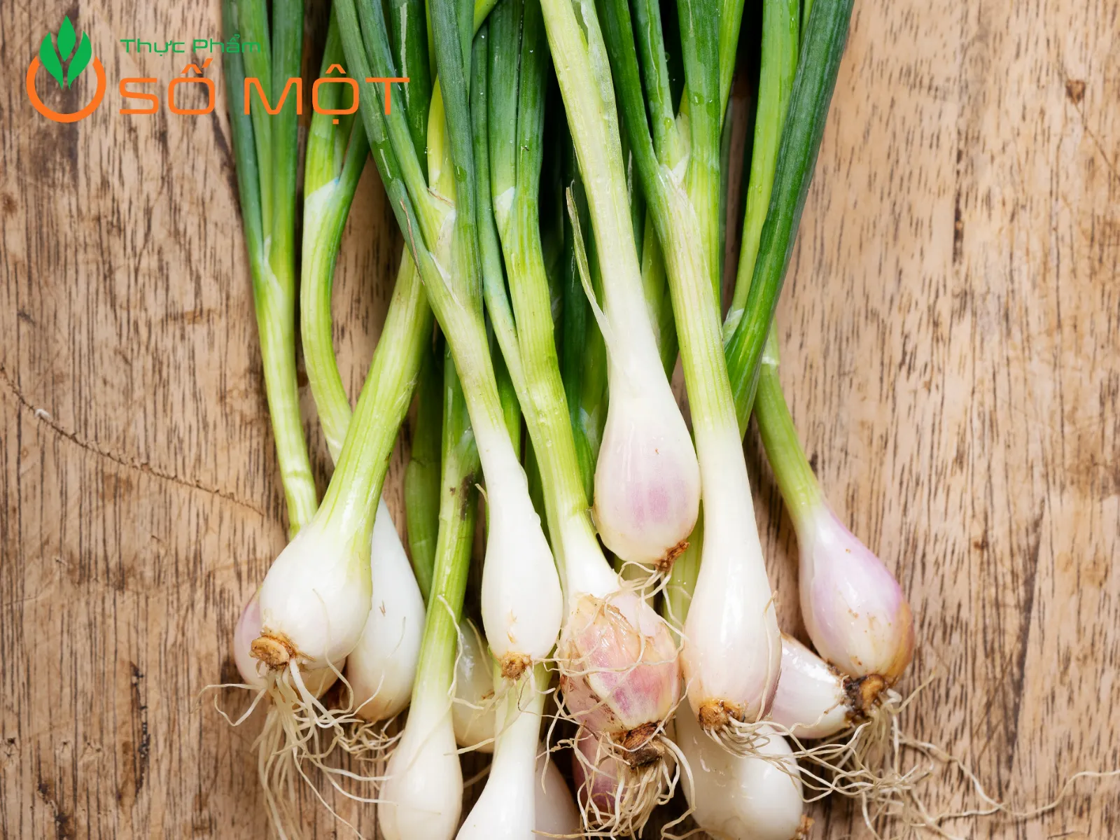 Hành lá không chỉ là gia vị mà còn là bài thuốc gia truyền