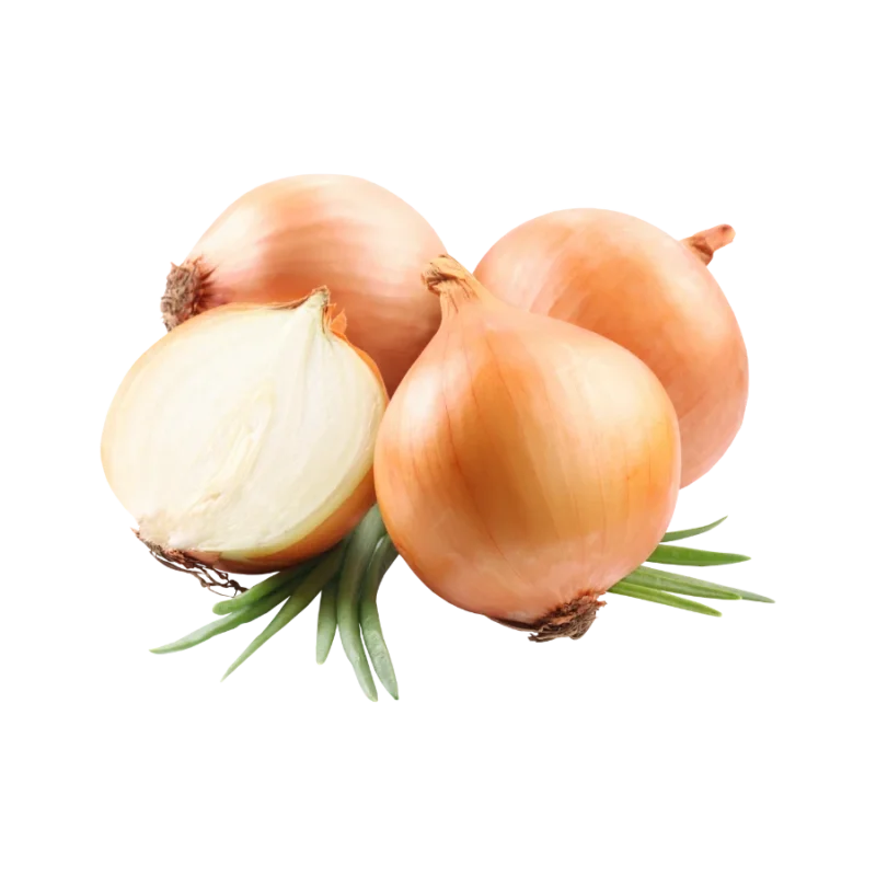 Hành tây giá sỉ tại Thực Phẩm Số Một