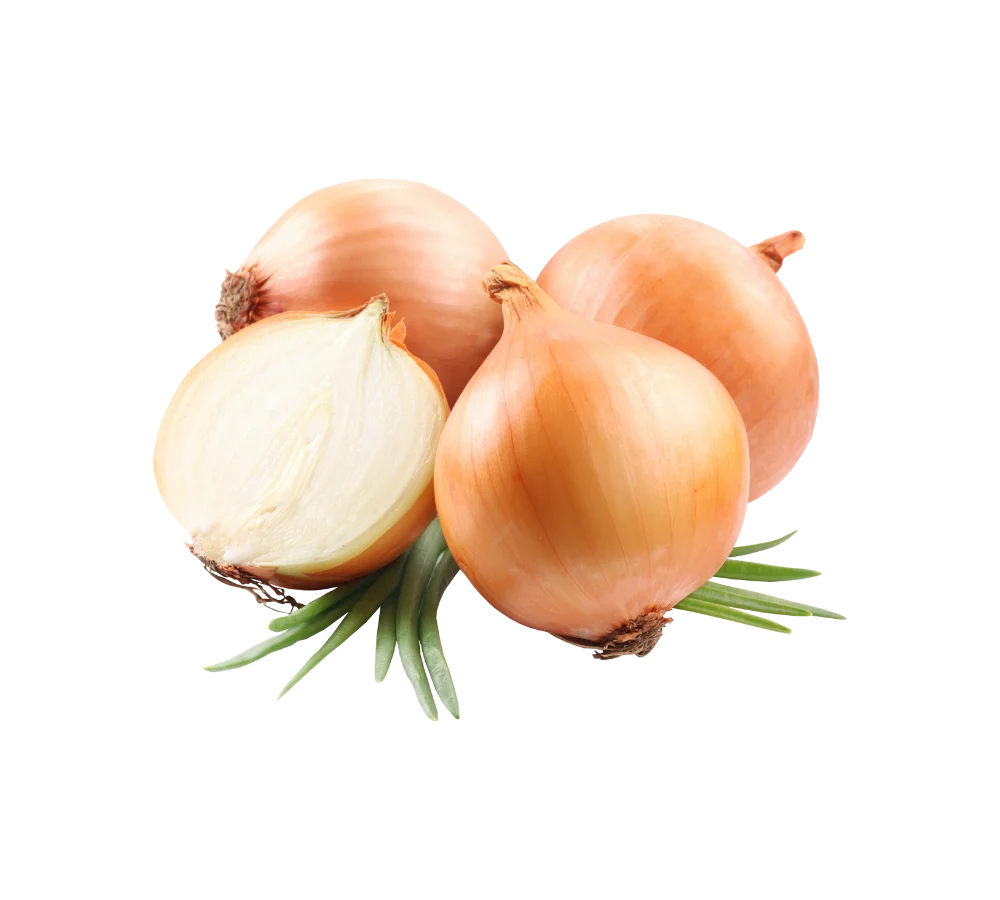 Hành tây giá sỉ tại Thực Phẩm Số Một