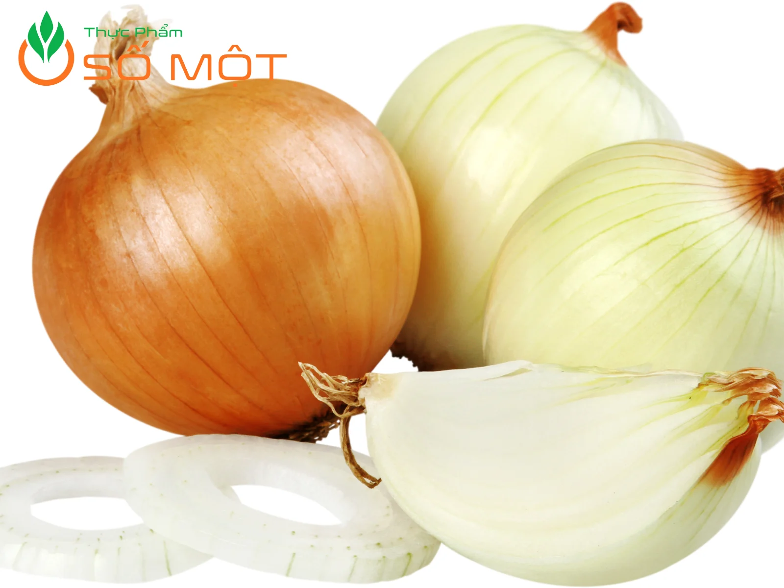 Hành tây là một loại củ thuộc chi Hành