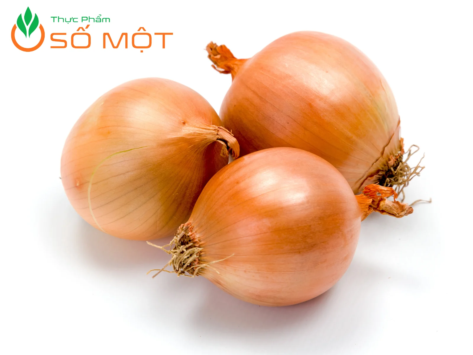 Để chọn hành chất lượng, bạn có thể dùng tay để cảm nhận độc chắc của hành