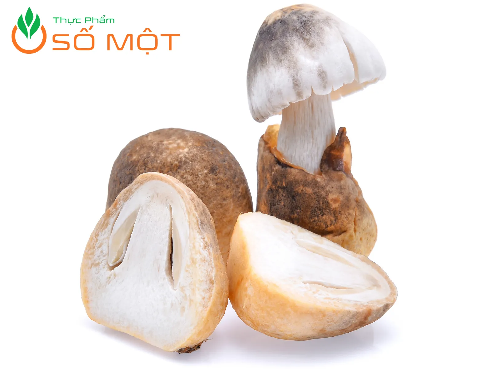 Trên thị trường có nhiều loại nấm rơm, giá thành khác nhau tùy loại và kích cỡ