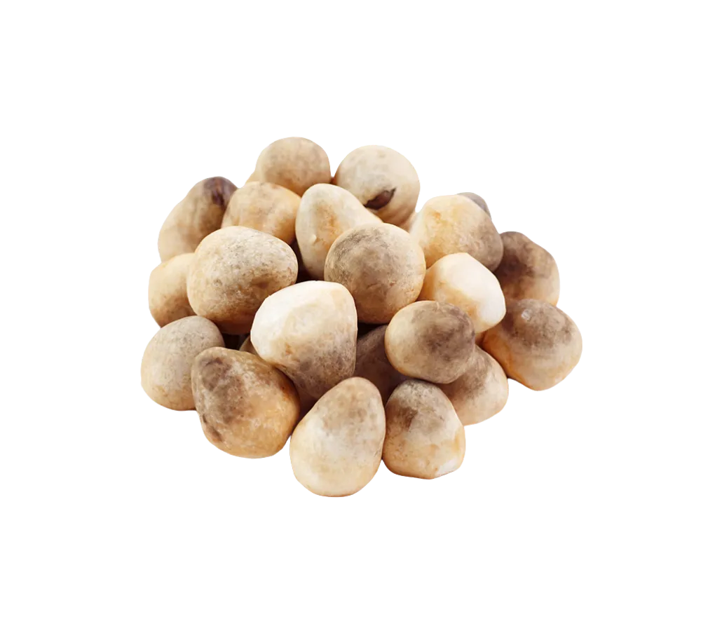 Nấm rơm tươi giá sỉ tại Thực Phẩm Số Một