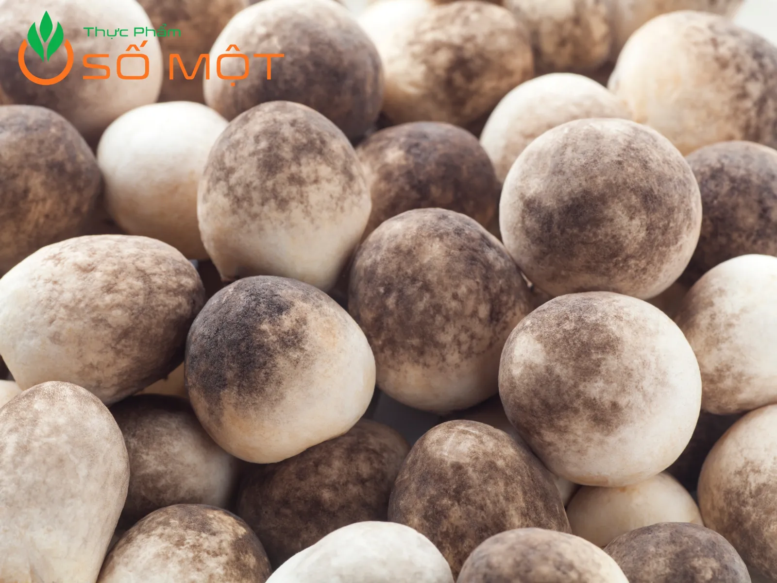 Thực Phẩm Số Một cung cấp nấm rơm tươi, giá sỉ cạnh tranh, giao hàng tận nơi